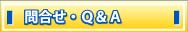 ⍇Q&A